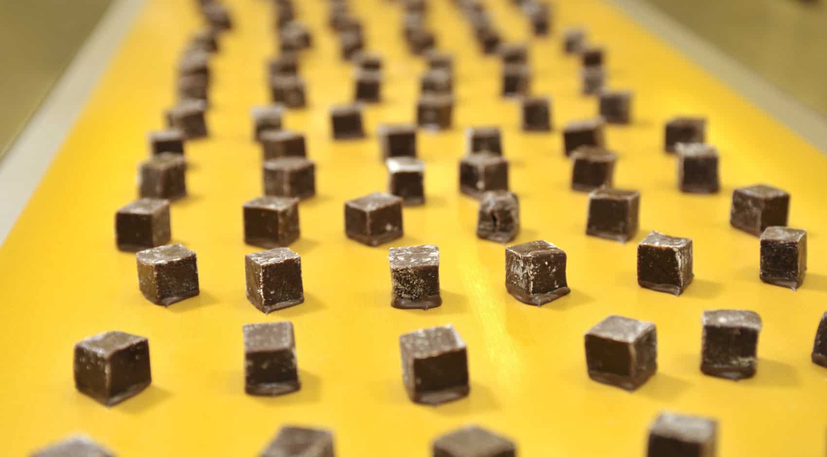How to Select the Right Food Grade Conveyor Belt for Confections